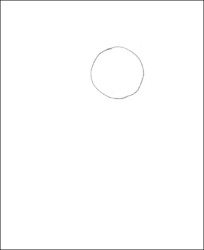 Begin the drawing with a circle.