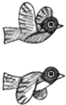 Drawing of a bird showing two positions: with wings up and with wings down.